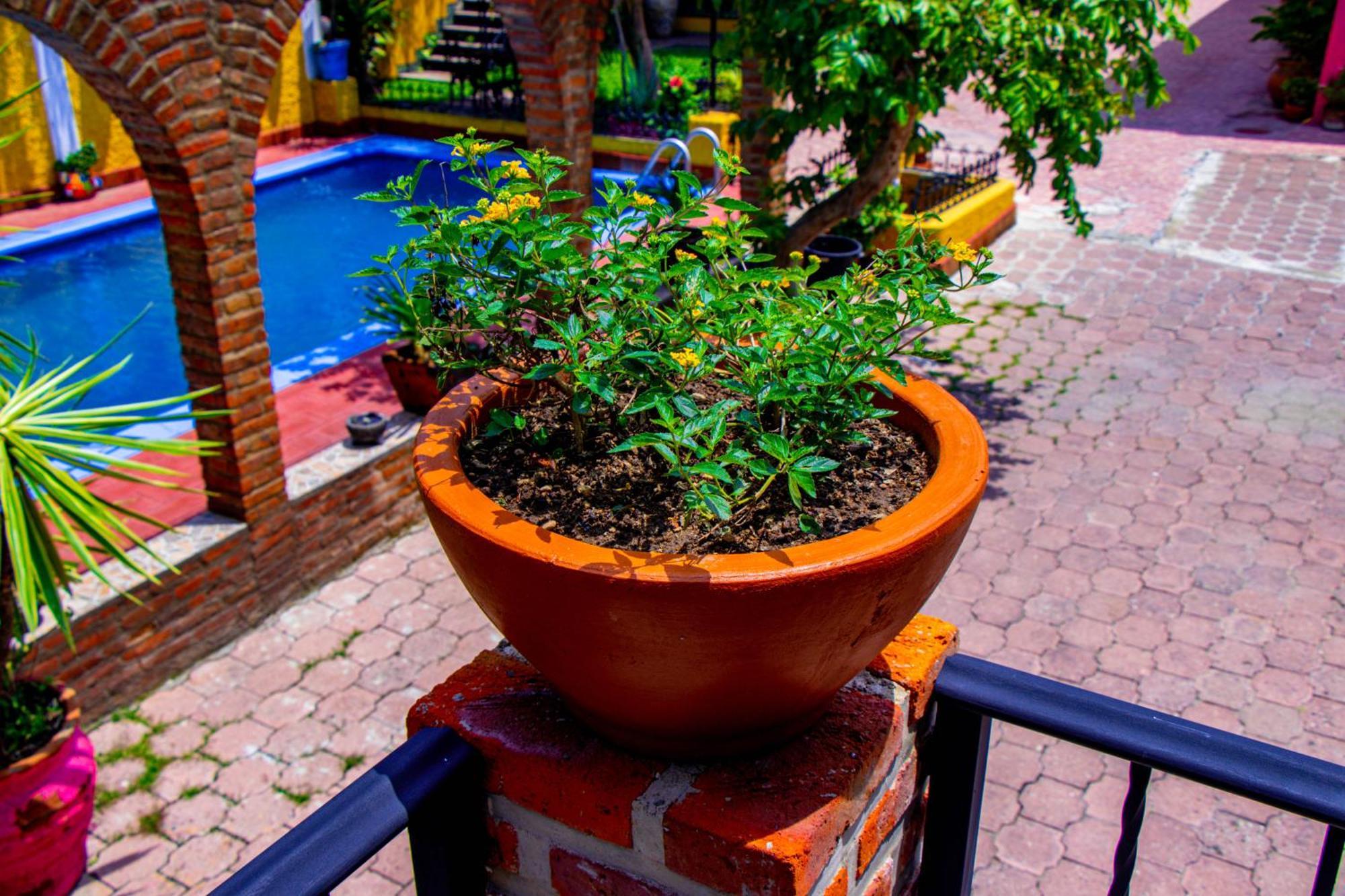 Posada Margaritas Tlaquepaque Exterior foto